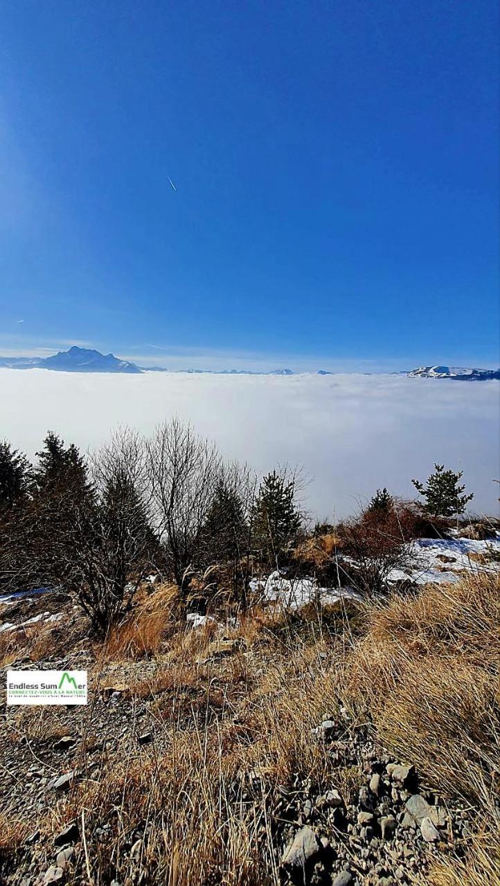 Studio 05 Saint Honore 1500, Vue Montagne Et Lac, 2 Personnes, Serie Anthracite Netflix Bagian luar foto